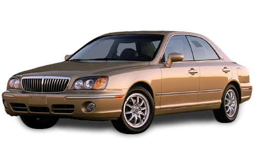 2D коврики EVA в салон  на Hyundai XG I (1998-2005)