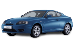 2D коврики EVA в салон и багажник  на Hyundai Tiburon II (2001-2007)